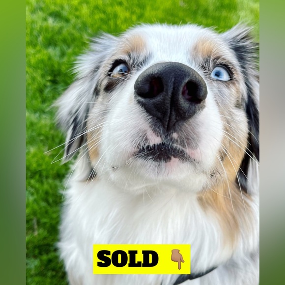 🙏🏽 THANK YOU 🙏🏽 - Picture 15 of 15